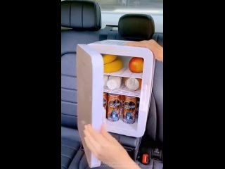 portable refrigerator in car