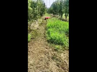 radio controlled lawnmower